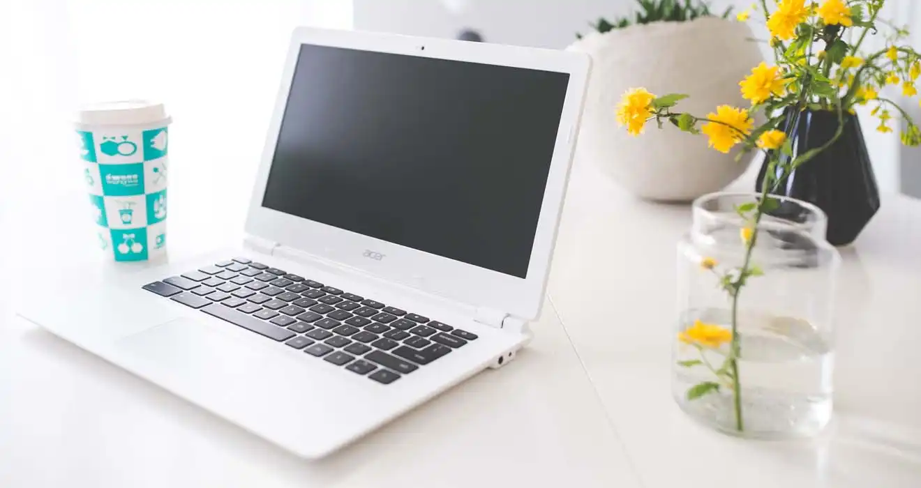 Ремонт ноутбуков Acer в Пскове