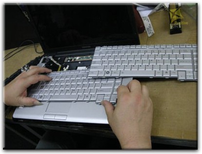 Ремонт клавиатуры на ноутбуке Toshiba в Пскове