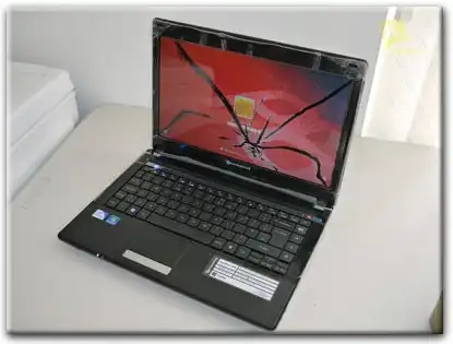 Замена матрицы Packard Bell в Пскове
